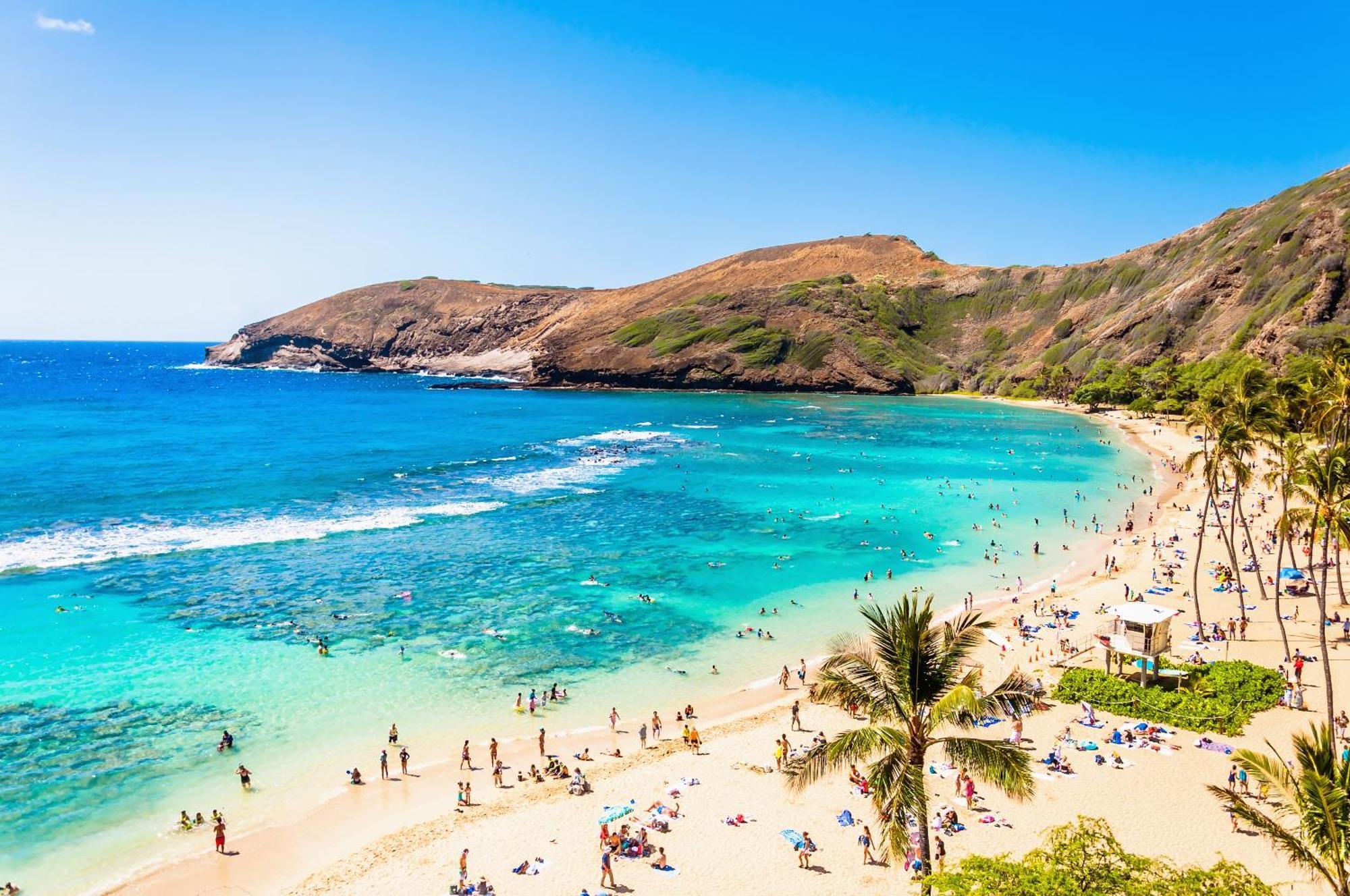 Ocean & Diamond Head Views - Near Beach - Parking! Honolulu Exterior photo